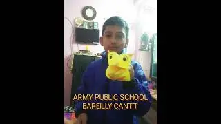 The Puppetry Art Activity made by Students of Army Public School Bareilly cantt UP. (2)