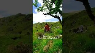 Irish Early Medieval Language - Ogham