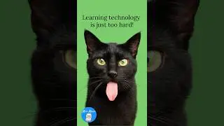 Afraid of Learning Tech? Cats Show You How to Stop the Fear!😺 👓  🖥️