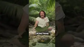 &iquest;C&oacute;mo SOBREVIVIR en una isla desierta?🏝️