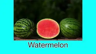 High Speed Flash Card - Fruits; Heguru, Shichida; Right Brain Stimulation Training