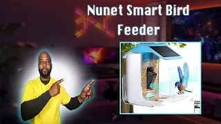 Nunet Smart AI Bird Feeder With 1080P Camera