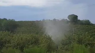 TRATTAMENTI NOCCIOLO GIAMPI MACHINERY