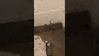 Extremely Wet Weep Hole.