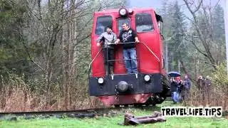 Carpathian narrow gauge railway 2016. Ukraine Vyhoda