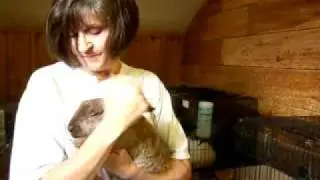Norfolk's Rescued Rabbits