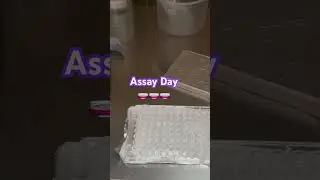 Assay Day #ciencia #scient #universidad #mexico #fyp
