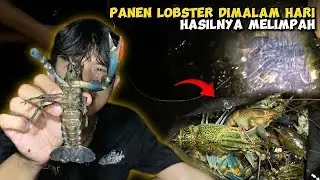 4 Menit 35 Detik Berburu Lobster di Parit ‼️