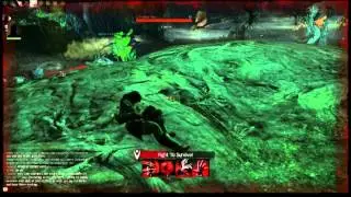 Guild Wars 2 - Funny moments