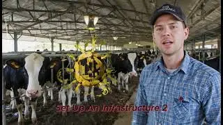 &ldquo;Cow Farming Business Plan: From Beginner to Expert Farmer''