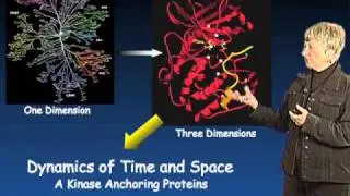 Susan Taylor (UCSD) Part 3: Protein Kinase Regulation and Localization