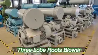 low vibration 10kpa - 80kpa three lobe roots blower bk5003 for pipe clearing