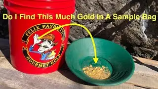 Felix Gourmet Sample Paydirt Review
