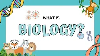 Biology: An Overview of Its Branches