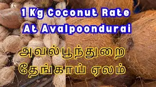 அவல்பூந்துறை தேங்காய் ஏலம்  | Current Day Coconut Sale Rate At Avalpoondurai Mandi | #Coconutfarmers