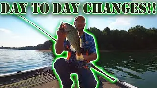How conditions change the bite in just a day bass fishing!