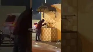 Just another cat video being shared online #cat #catsoftiktok #eidmubarak #Qatar #wakra #catvideo