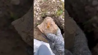 Поляна усыпана прозрачными кристаллами пьезокварца! 👁️💎✨🌙
