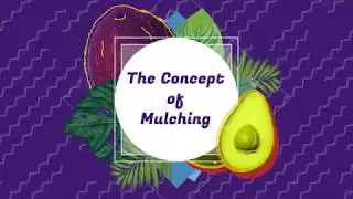 Mulch India