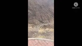 Dangerous curve Road , beautiful mountain views & Art street Abha, Saudi Arabia🥰🥰