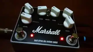 ALP Pedal Dual Drive