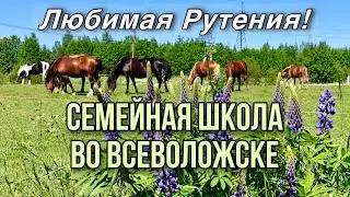Русская Классическая Школа 