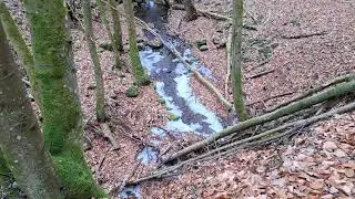 Tr&uuml;benbachtal - Teilweise ist der Bach vereist (29.12.2025)
