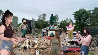 Close-Up: Truck Carries 4,000 Ducks to New Rural Area | Real Transport Scene | Huong Farm Vlog