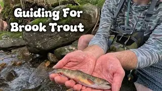 Native Southern Appilachian BROOK TROUT! Guide trip 9/25/25 Great Smoky Mountains National Park 