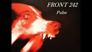FRONT 242 - '' Pan '' Dhe . Pulse - 2003 - XIII Bis Records .