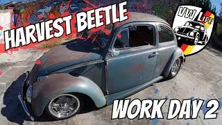 Harvest Beetle 2023 Work Day 2