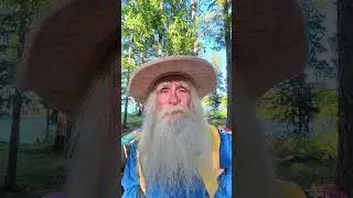 The Majority Is Wrong The Majority Of The Time. #wizard #bliss #weird #exotericworld #funny
