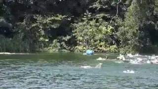 Grevesmühlen 2014 ALUMAN im Freibad