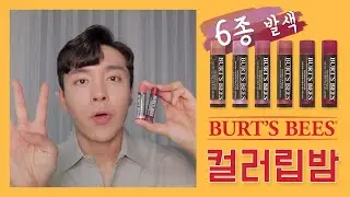 ENG)자연스러운 버츠비 컬러 립밤 6종 발색 올리브영 추천템 l 제대로된 제품 하나 사서 잘 쓰자