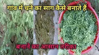 चने का साग गांव के लोग कैसे बनाते है || चने की सब्जी बनाने की आसान विधि