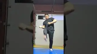 WTD 2 Step Kick Combination 165 (short)
