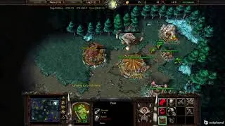 Best beginners Orc build!