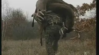 Fantastic Classic Bow Hunting Video Primal Dreams Trailer