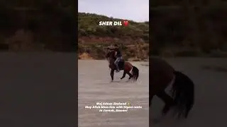 Sher Dil SSG ⚔️🫶🏻 Major Adnan Aslam Shaheed ❤️&zwj;🩹 #pakarmysoldiersstory #yt #love #ssg #pakarmy