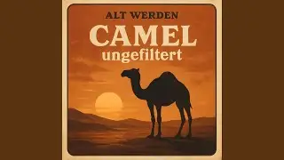 Alt werden