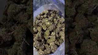 THCA Flower, Concentrates, Carts, Pre-Rolls&hellip; ALL Illegal in 2026? Stock Up While It&rsquo;s Dirt Cheap