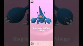POKEMON GO: HUNDO HERACROSS TO HUNDO MEGA HERACROSS