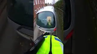 body cam footage of a UK police #funny #ai