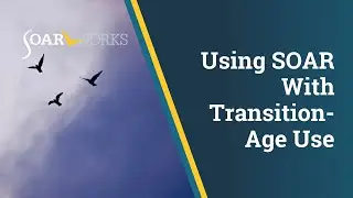 SOAR Webinar: Transition Age Youth