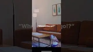 AirBnB? Take your Internet and Security System with you!