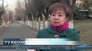 «НОЧНЫЕ БАБОЧКИ» ТАРАЗА