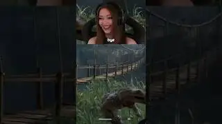 И на этом всё решено 🐊