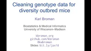 Cleaning genotype data for diversity outbred mice