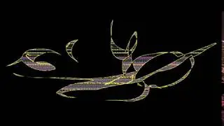 Daniel Bayer - Unharried Conversation