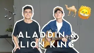 A Whole New World/Can You Feel the Love Tonight - Disney [Perkins Twins Cover]